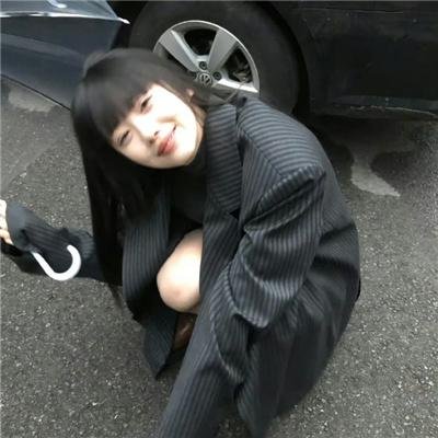 公猫