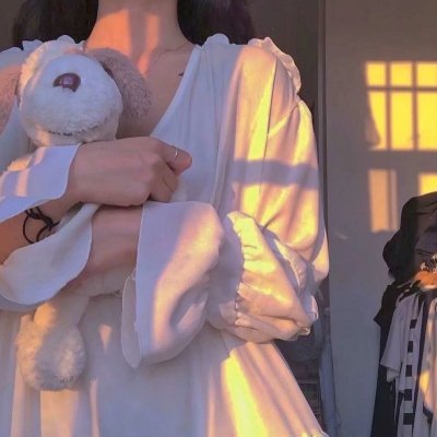 穿靴子的猫2