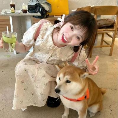 爸爸在审判