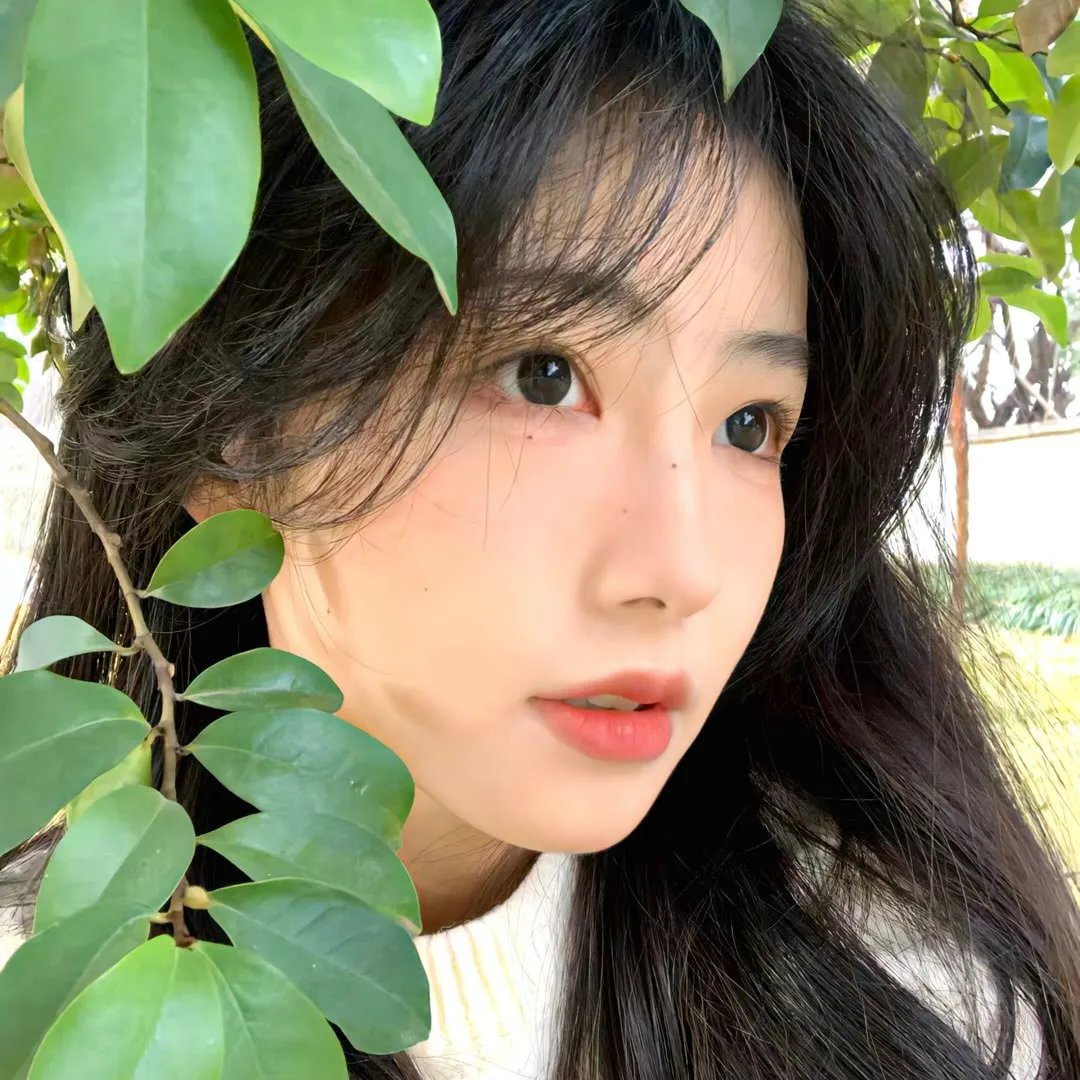盲人律师